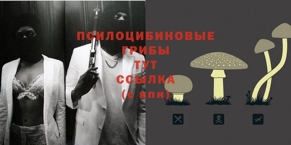 спиды Аркадак