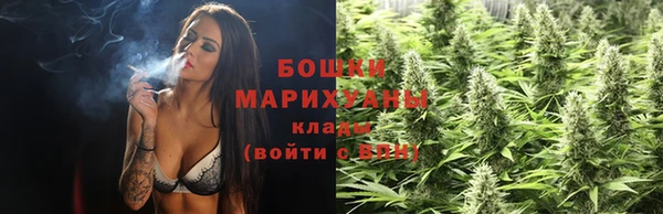 гидропоника Новозыбков